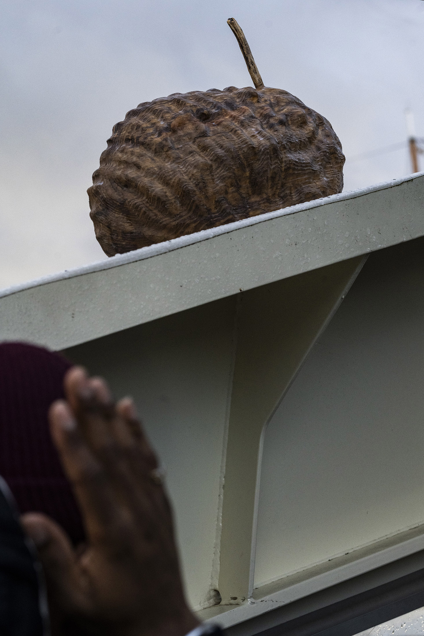 Settlers by Joakim Derlow