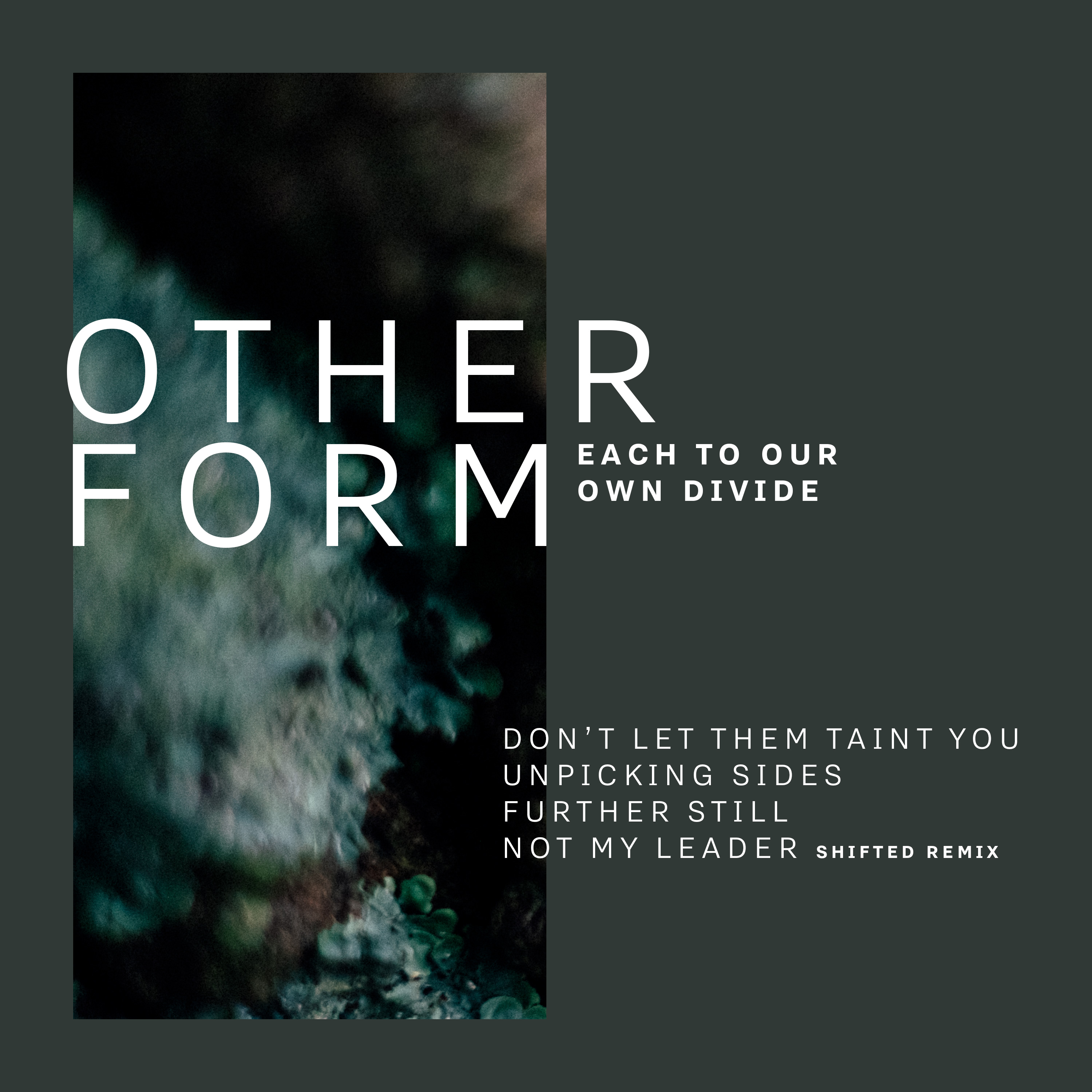Each to Our Own Divide