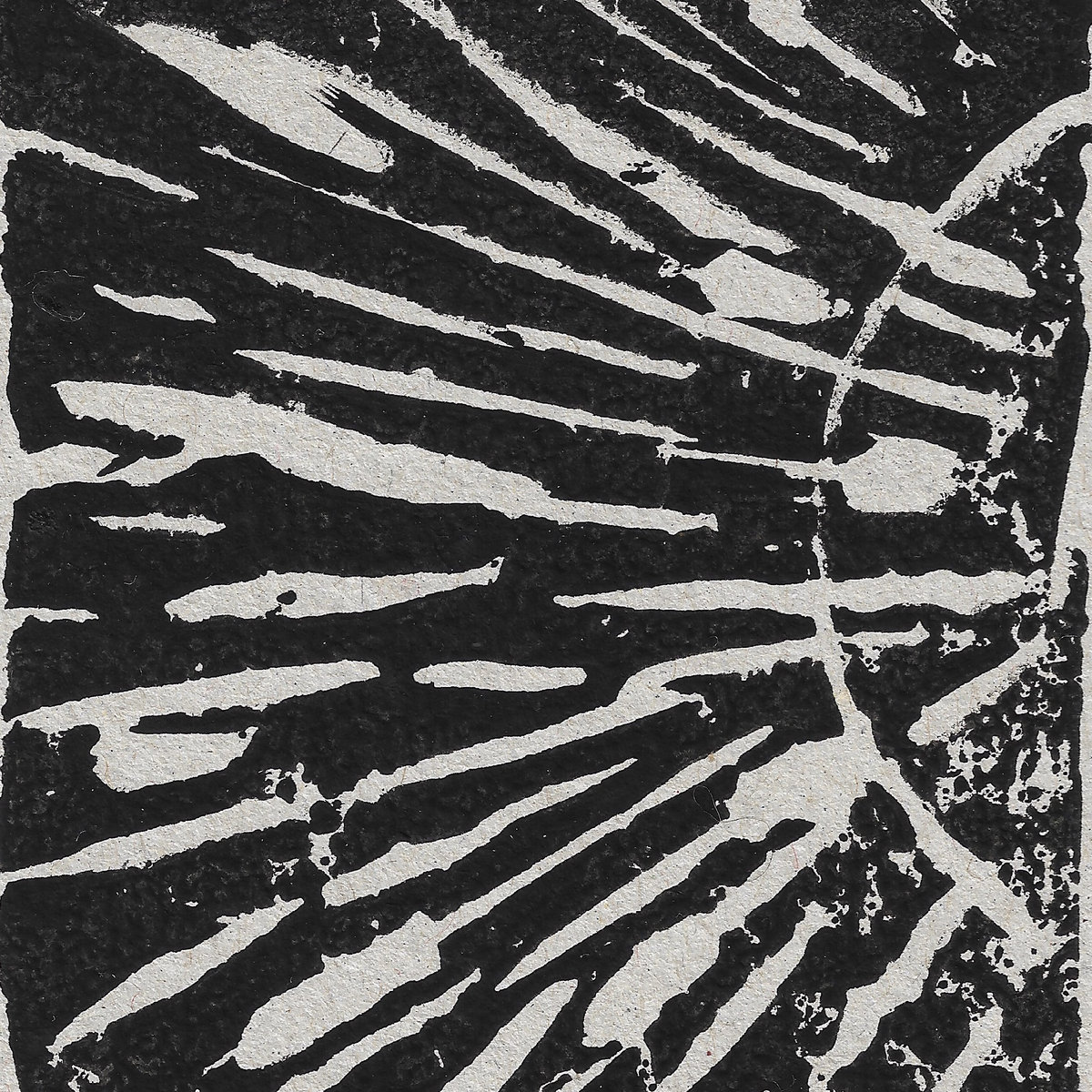 Peel on Various Artists II
