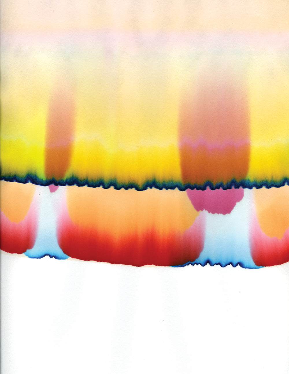 👍 Chromatography of food dyes. Essay on Chromatography of Food Dyes