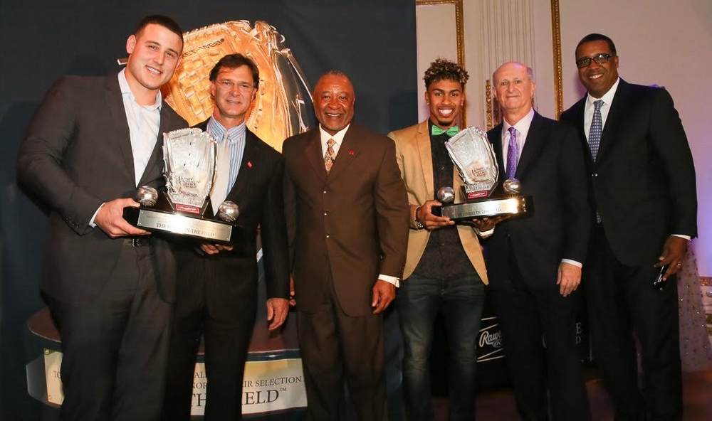 Rawlings Platinum Glove Award, Learn & See The Winners