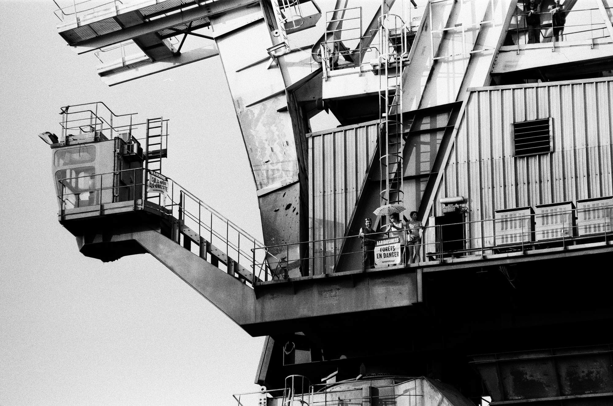 Pierre Larrieu — Réalisateur et photographe