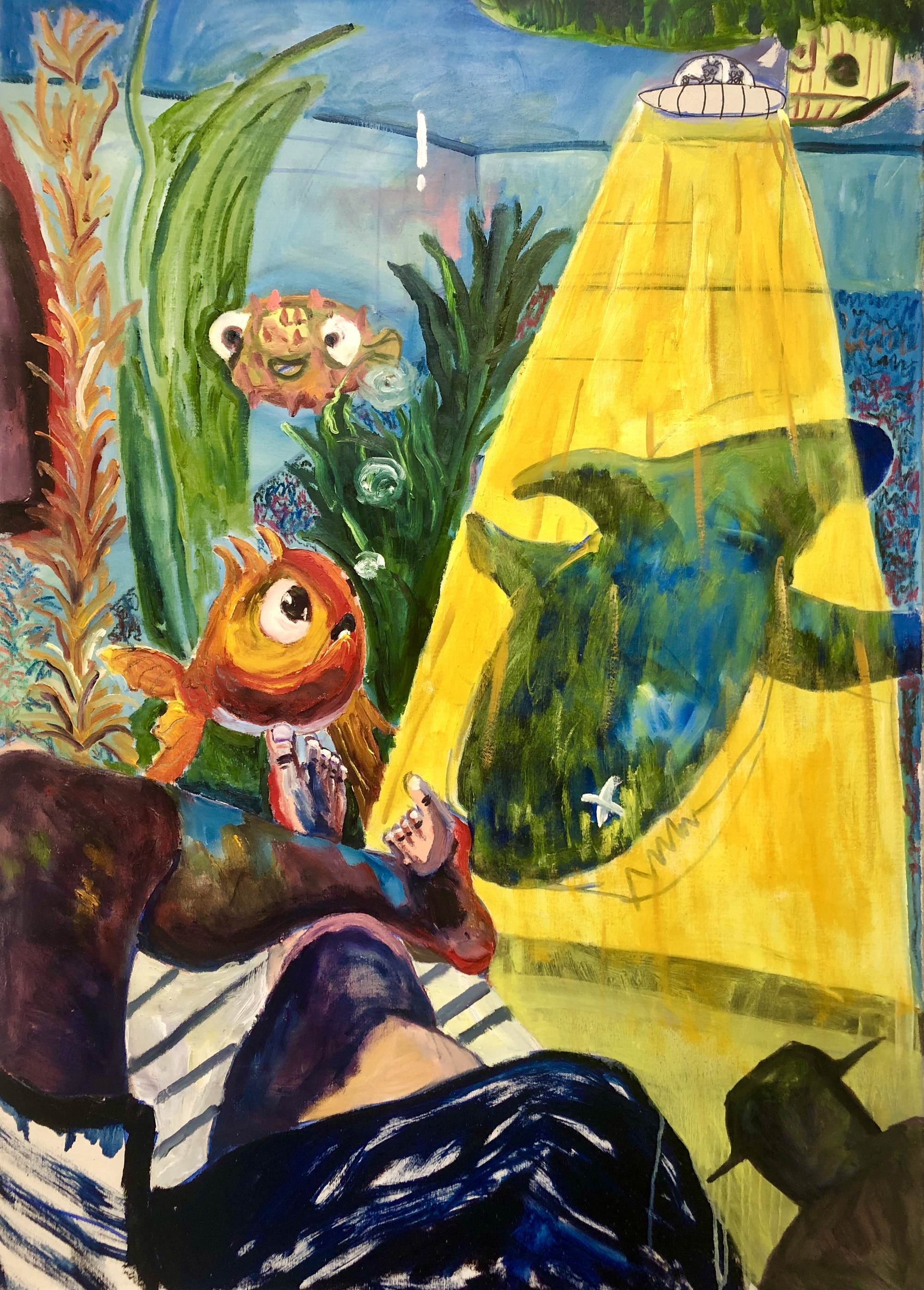 Kidnap A Shark