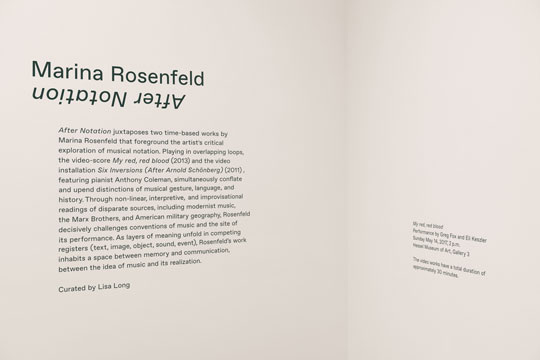 Marina Rosenfeld After Notation Lisa Long